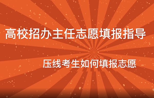 压线考生如何填报志愿？专家为你指导！