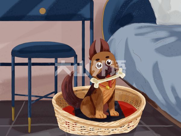 test的过去式和过去分词及例句